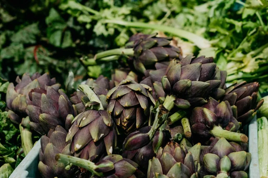Artichokes