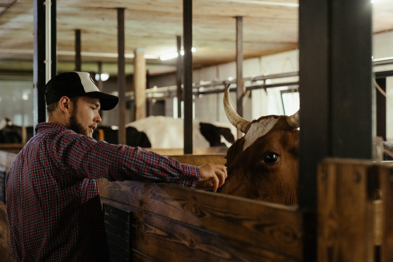 Can You Eat Meat and Follow an Eco-Friendly Diet?