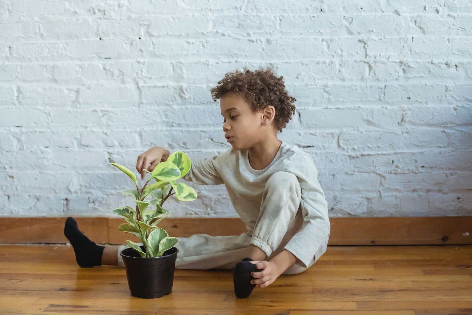 How to Begin Home Composting Full Guide