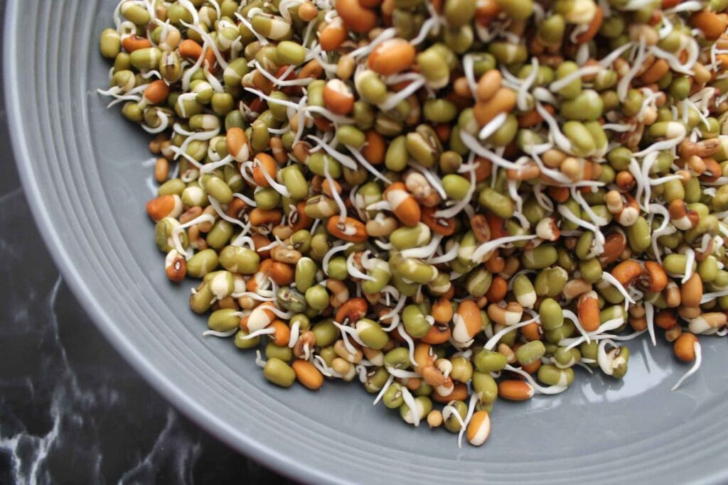Wheat Germ