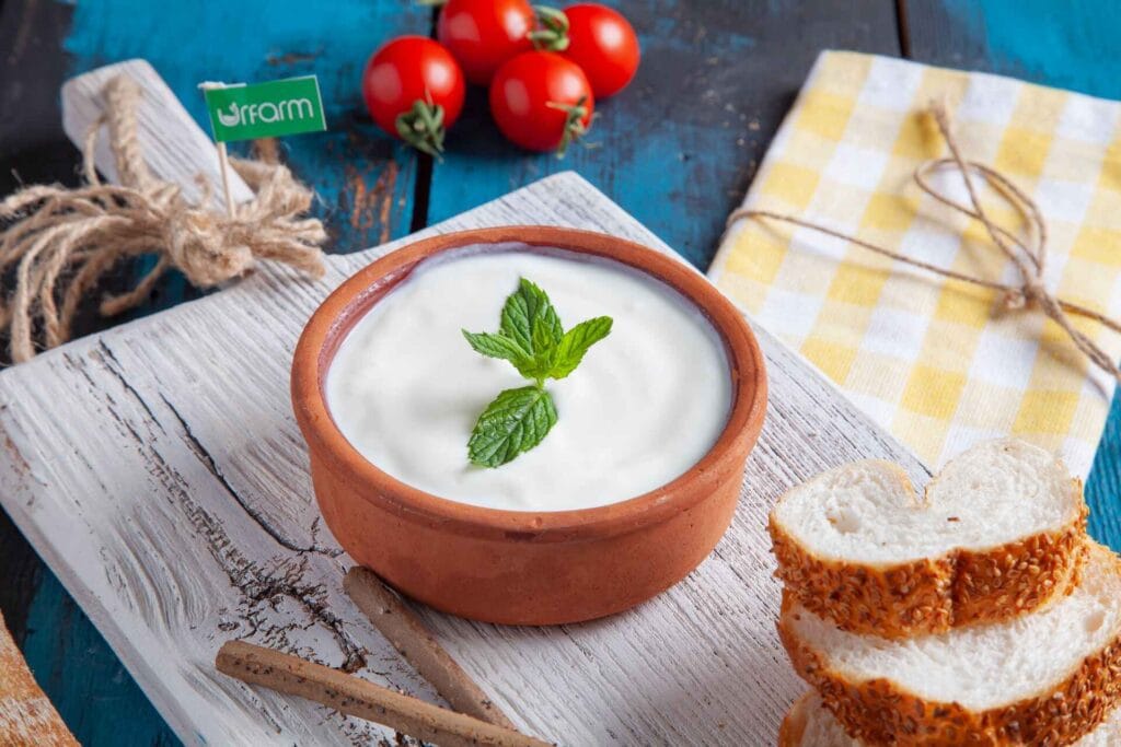 Yogurt