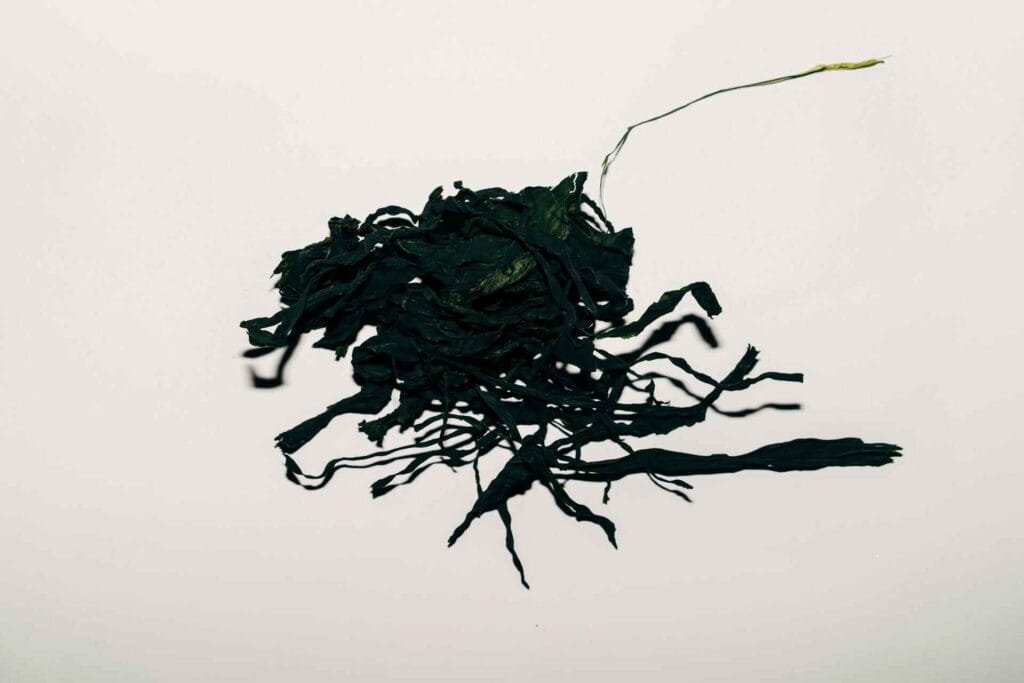 Spirulina