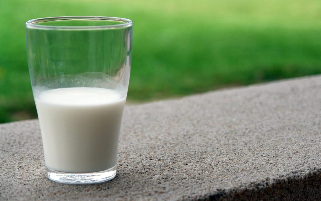 Eco Friendly Plant Milk: Which Is The Best for the Planet?