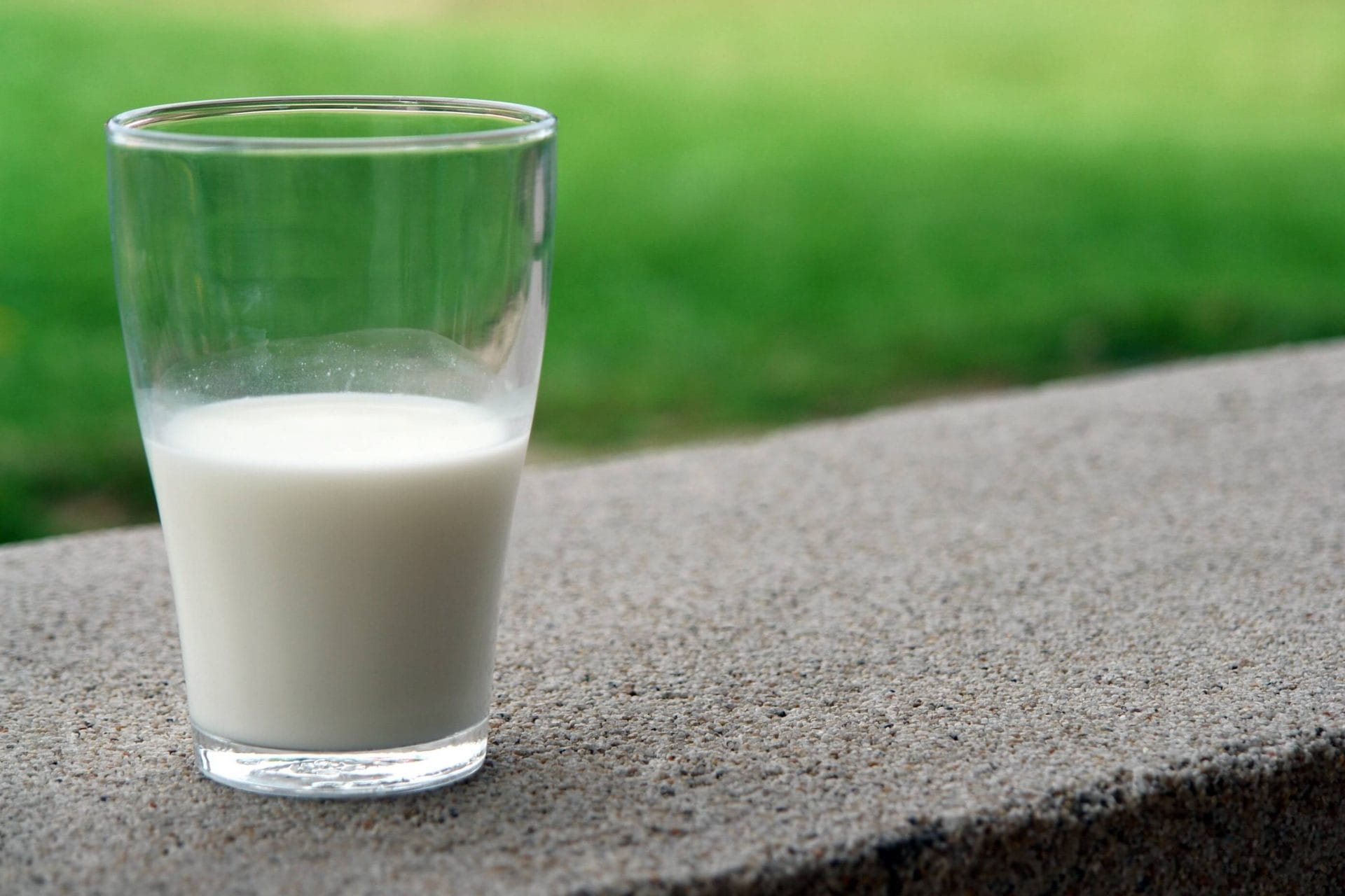 Eco Friendly Plant Milk: Which Is The Best for the Planet?