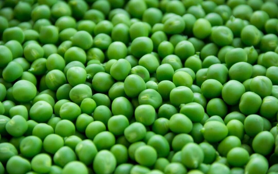 What Is the Green Mediterranean Diet, and Should You Try It?