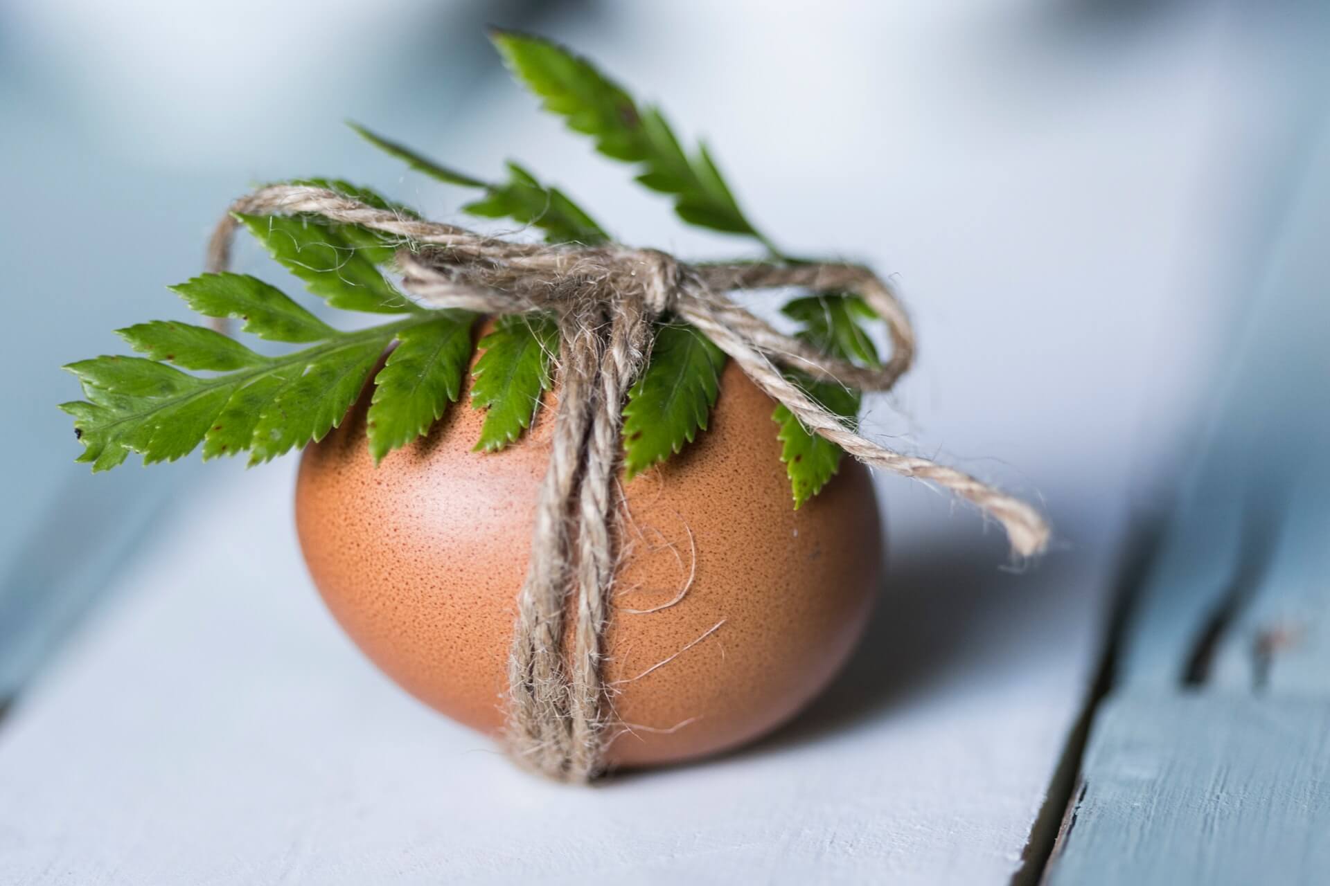 How to Make a keto Egg Fast: Rules, Benefits, Risks, and Sample Menu Recipes