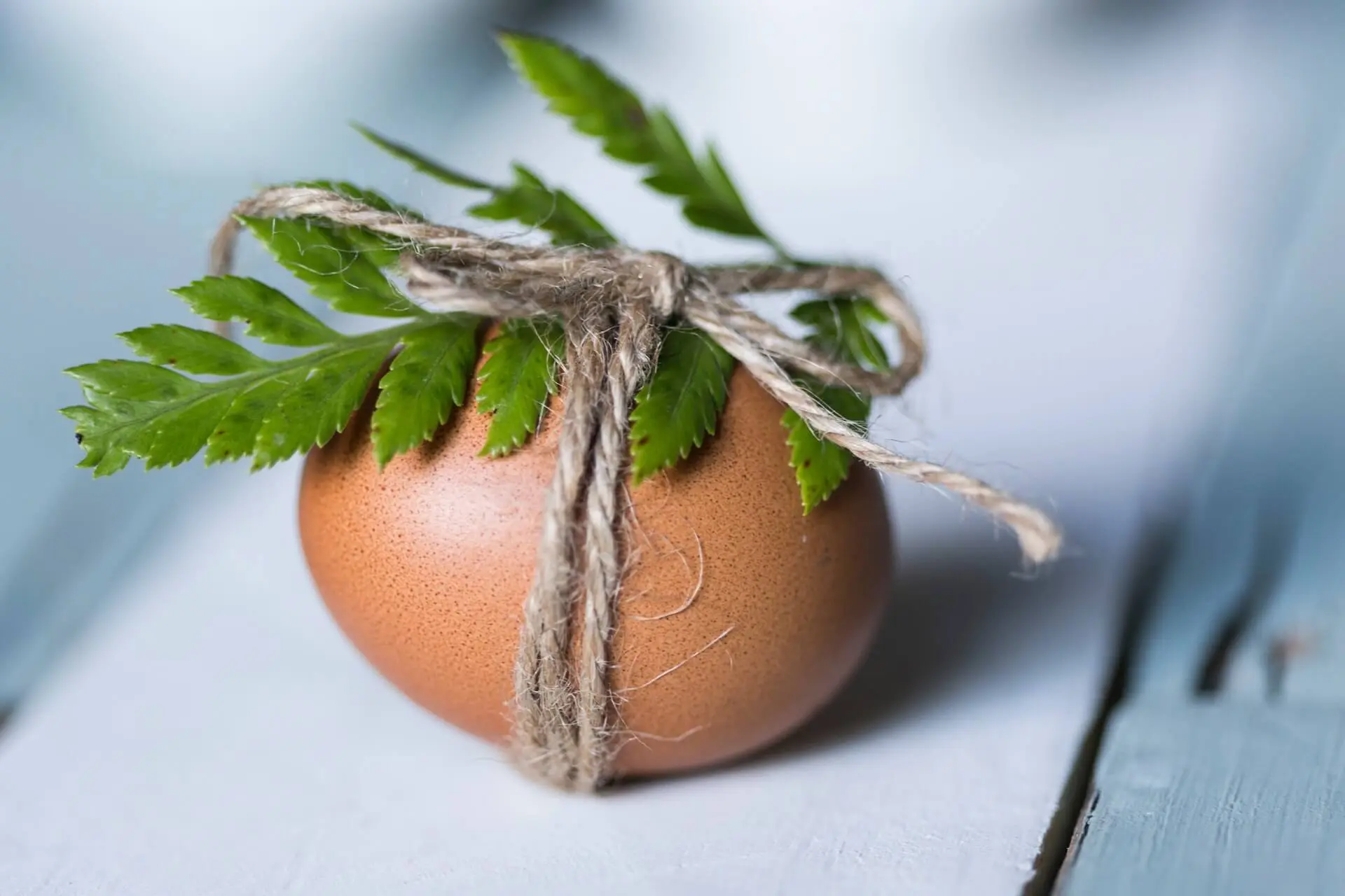 How to Make a keto Egg Fast: Rules, Benefits, Risks, and Sample Menu Recipes