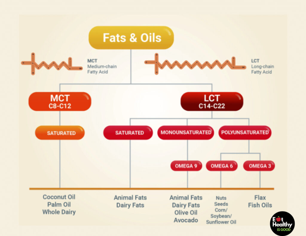 classes of fats and oil