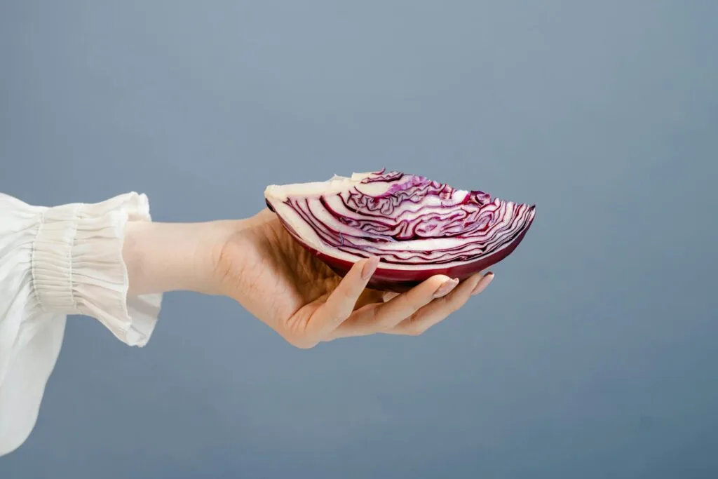 Purple cabbage