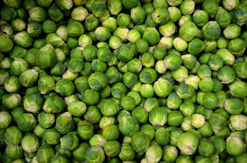 Brussels Sprouts Are Tasty When Roasted in the Oven