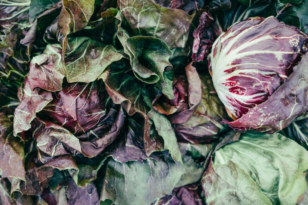 Cabbage Is a wholesome Ingredient to Add to Your Stir-Fry Recipes