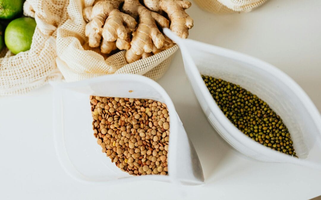 Top Low Carb Protein Sources for Vegetarians