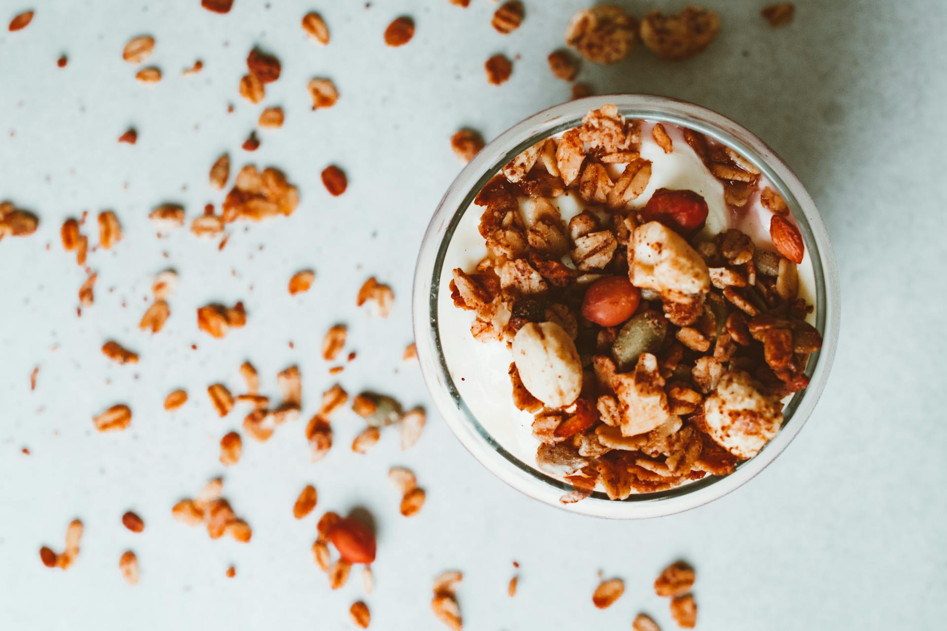 low-carb vs low-fat vs plant-based
