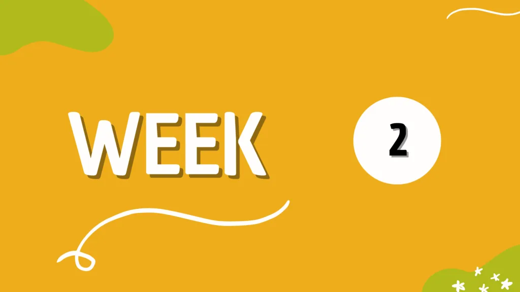 WEEK 2