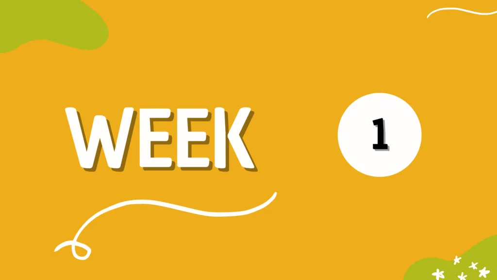 WEEK 1