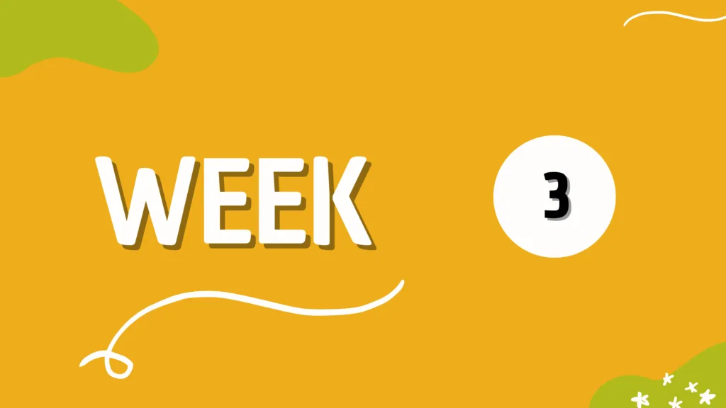 WEEK 3