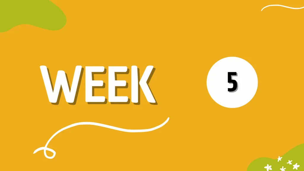 WEEK 5
