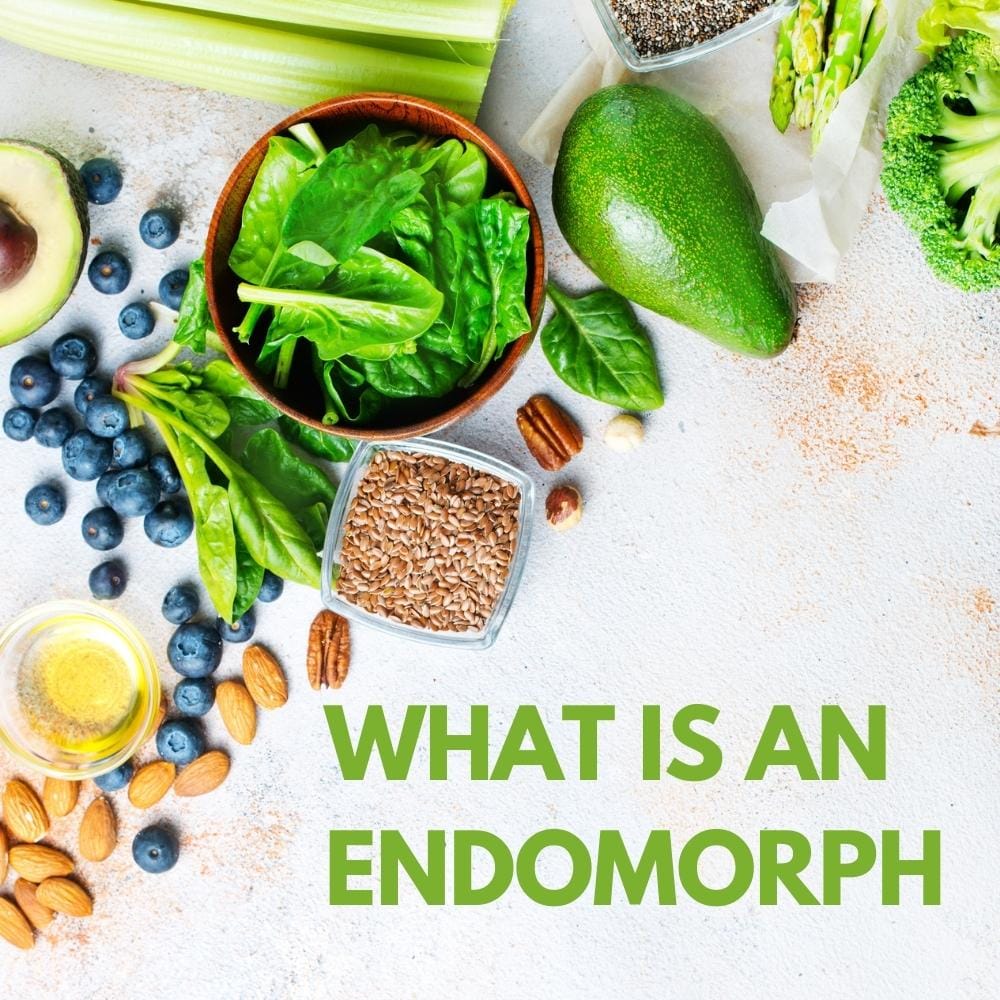 What is an endomorph What is an endomorph