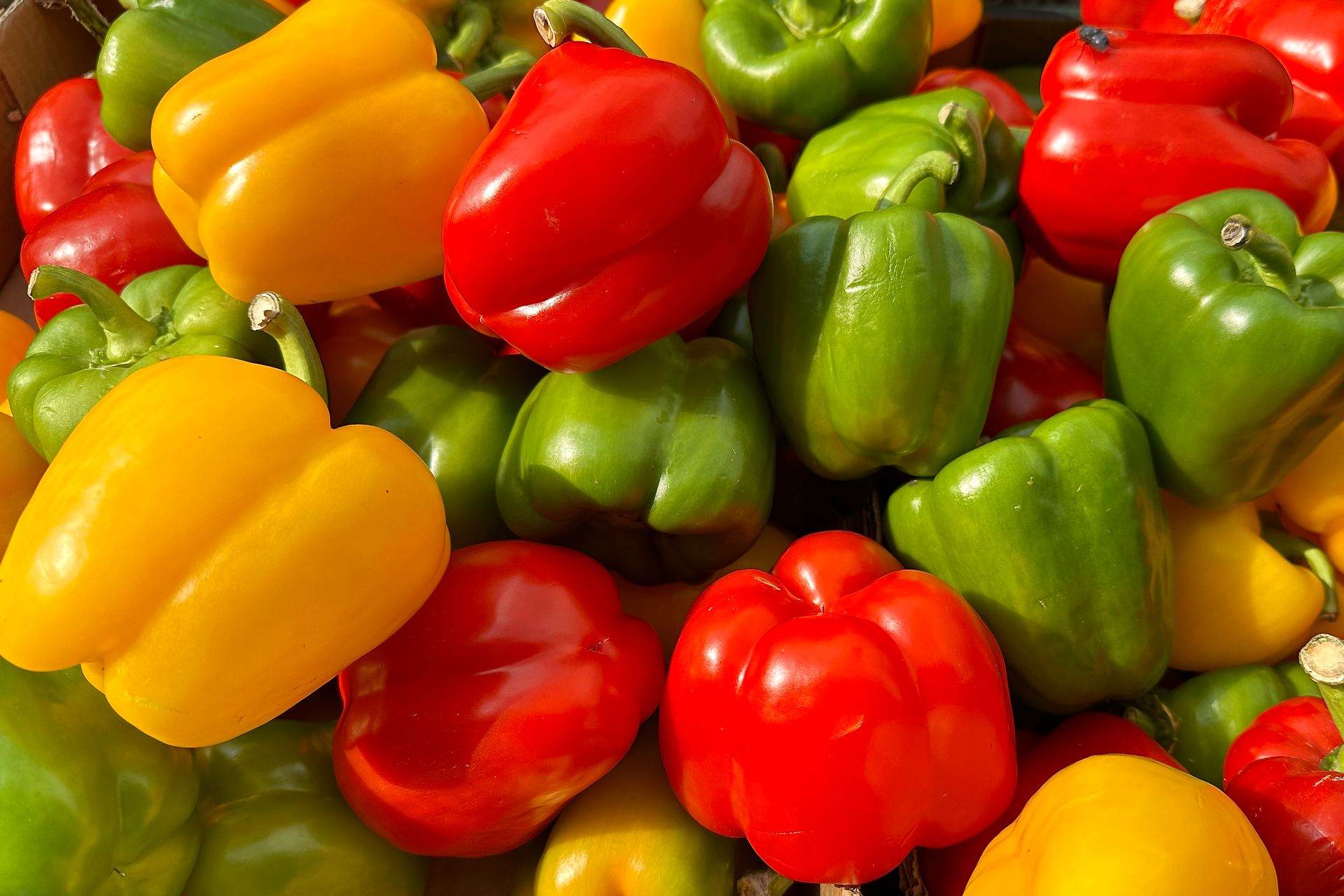 Bell Peppers