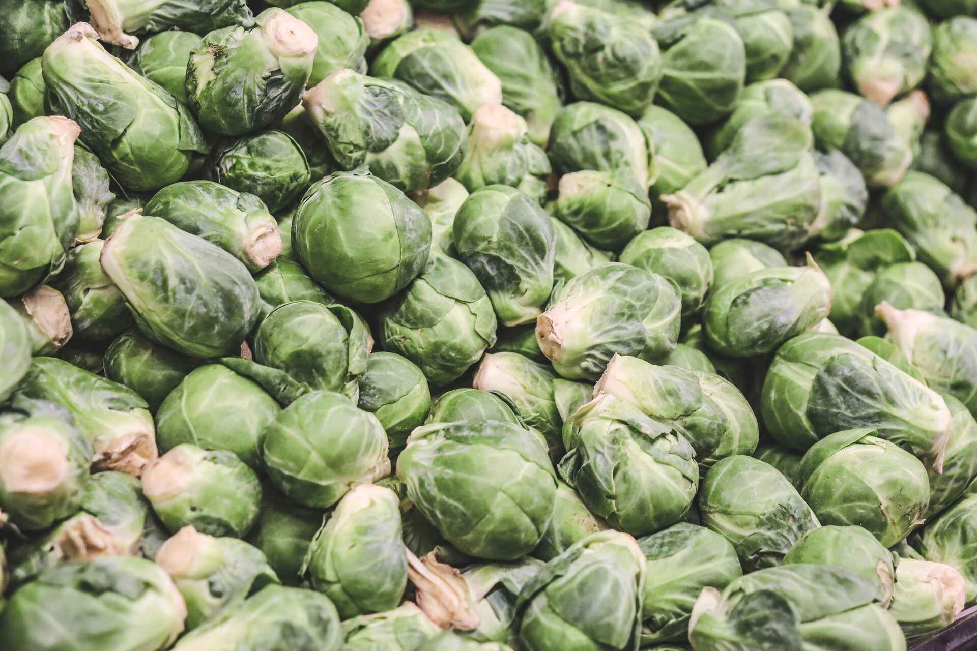 Brussels Sprouts