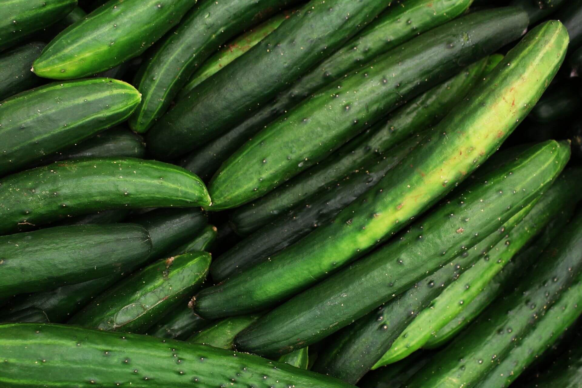 Cucumbers