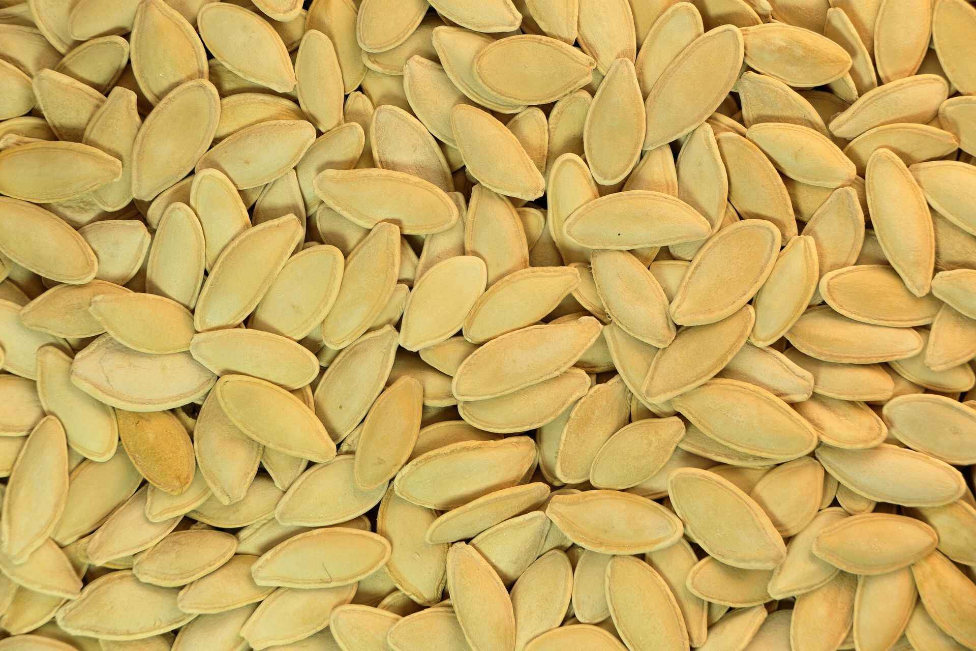 Pumpkin Seeds