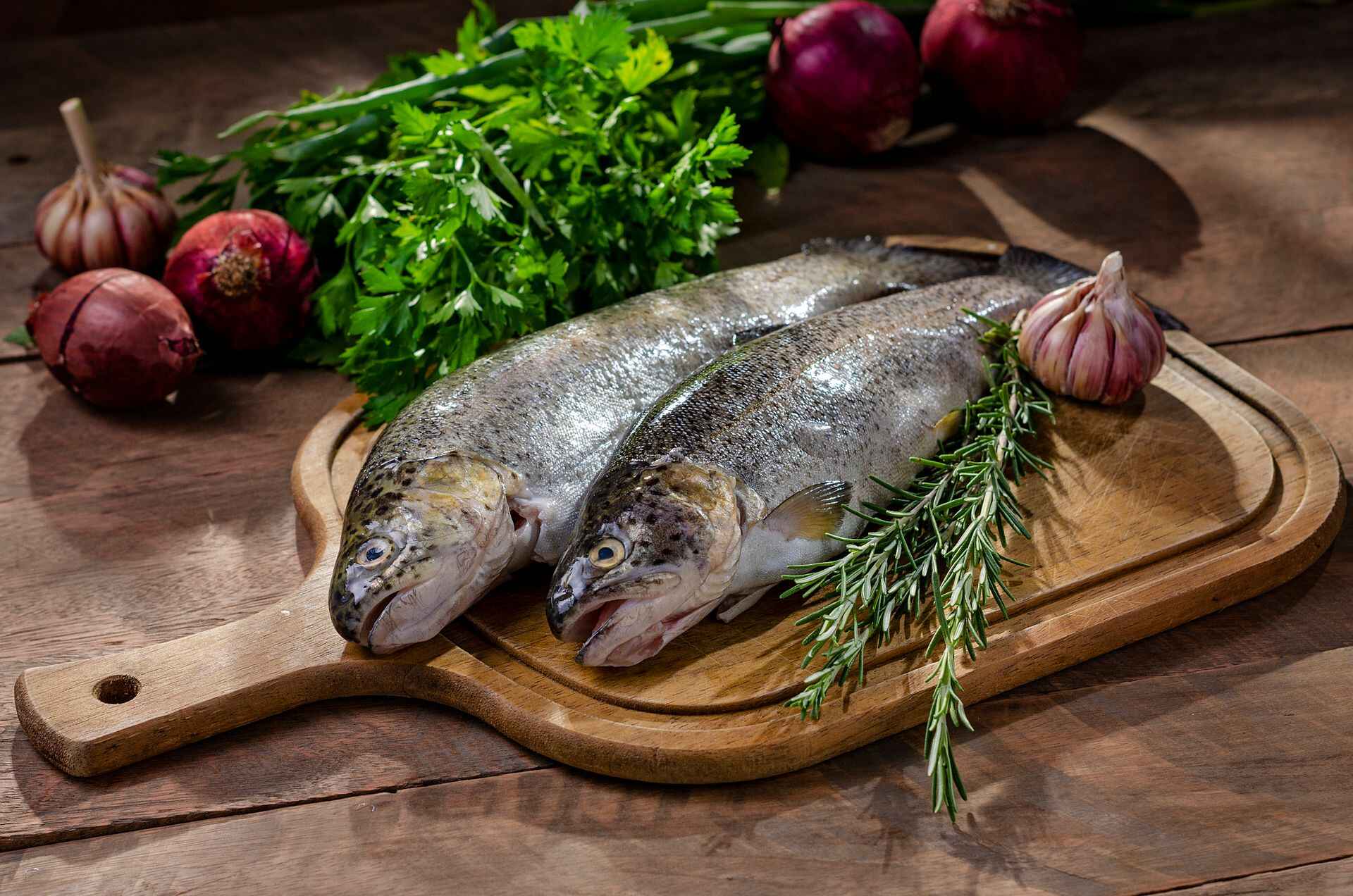 Trout